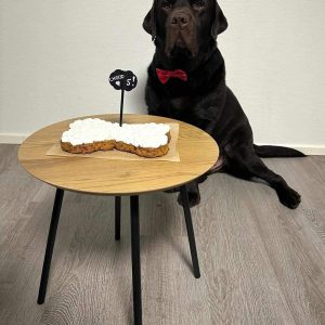 Koirakakku Bone 700g